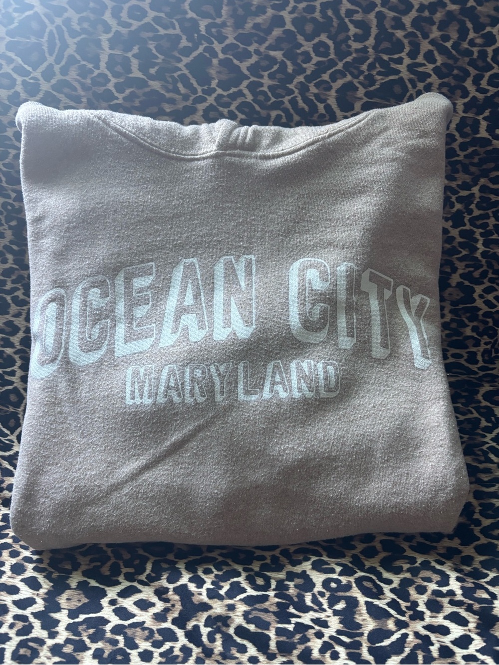 Ocean City Maryland Graphic Pullover Sweatshirt - Taupe